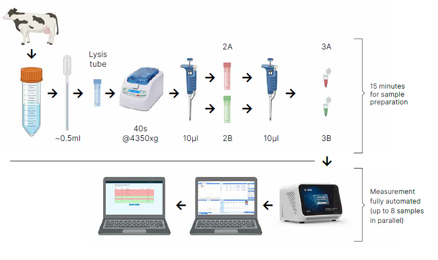 Workflow-EN